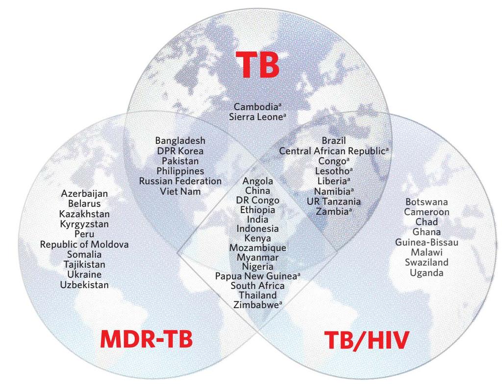 30 High MDR-TB