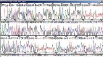 EPIGENETICS Gene Expression Profiles