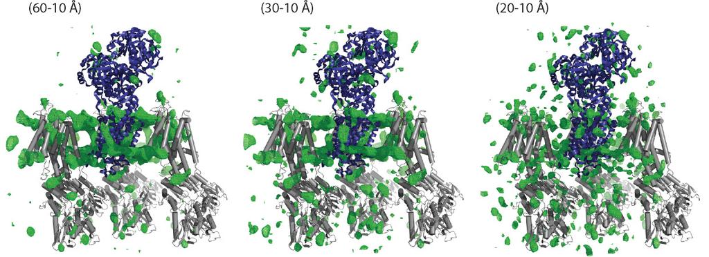 Supplementary Figure S7. Low resolution (Fobs-Fcalc) difference electron density map (green) for the SERCA E2 structure (pdb-id 2YFY) contoured at 2.0 σ.
