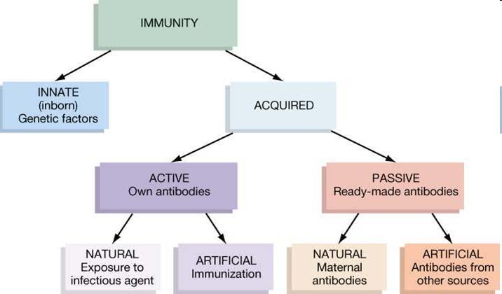 Immunity Immunity all factors that alter likelihood and severity