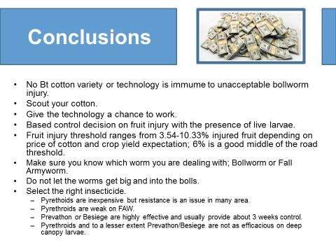 developed the economic threshold for the bollworm complex in Bt cotton.