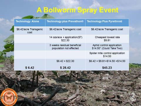 The gamble is with the absence of beneficial insects, some of the secondary pests may need to be controlled with insecticides. One can see that the costs can add up as noted in the slide below.