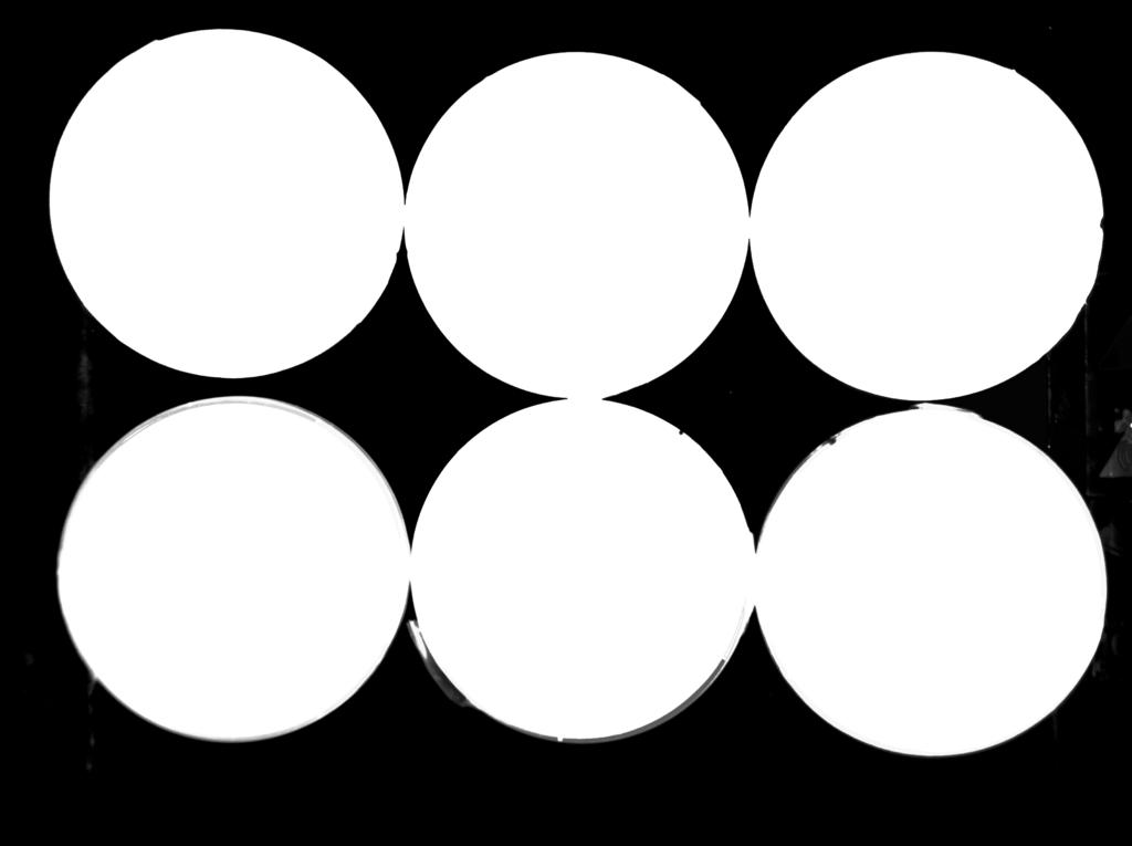 Each 10 μl droplet contains a unique dilution factor and concentration of hydrogen peroxide.