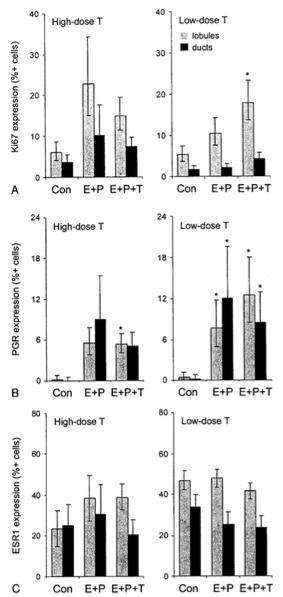 Effects of E2, P and T in 25 ovariectomized cynomolgus monkeys Con = placebo E = micronized E2 1 mg/d P = micronized P 200 mg/d T = subcutaneous