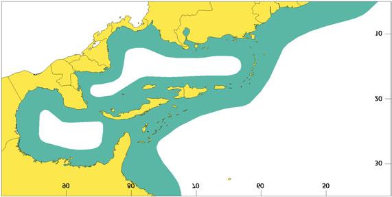Commonly travel in groups of 10 to 20 in oceanic waters; can be found in herds of over 100. IUCN Status: Data deficient.