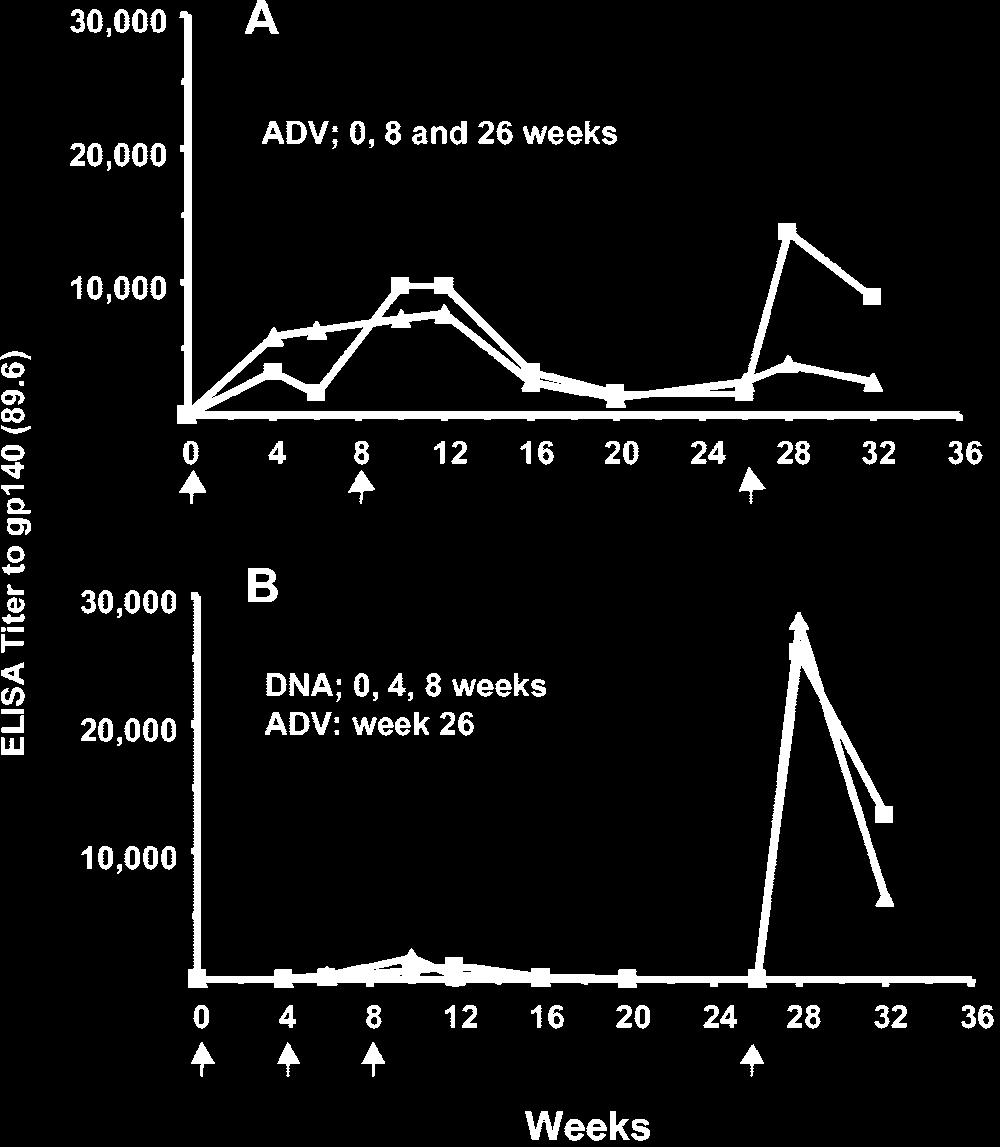 VOL. 79, 2005 DNA-rAd5 IMMUNIZATION OF MONKEYS AGAINST HIV-1 773 FIG. 1. End-point anti-env antibody titers in plasma against 89.6 gp140 were measured during the course of immunizations.
