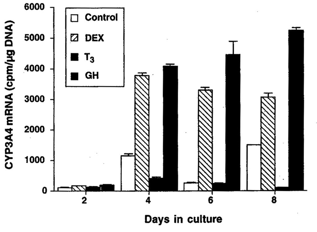 Up-regulation of CYP3A4 by GH and T 3 in Hepatocytes J Clin Endocrinol 83:2411-6, 1998.