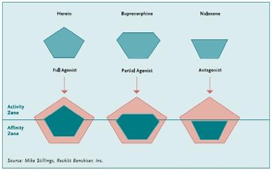 MAT Methadone Maintenance (Agonist) Buprenorphine Maintenance