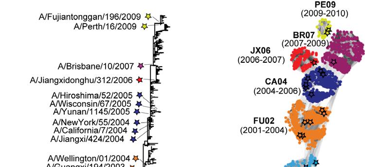 PREDAC vividly delineates the antigenic evolution of H3N2