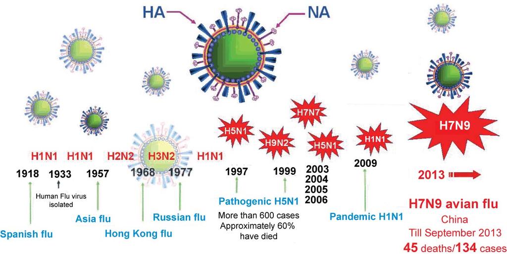 infecting 10-15% human population each year, up to ¼ million deaths (H1N1, H3N2 and B).