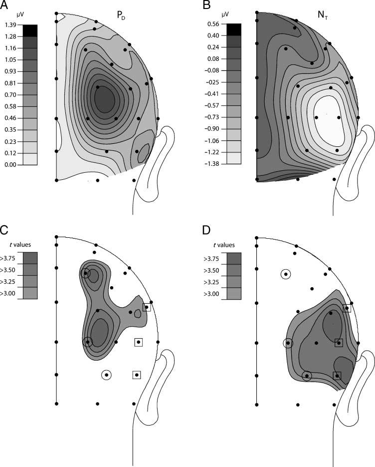 Figure 7. Spherical-splineinterpolated scalp maps of the N T and P D. (A and B) Voltage topography. (C and D) The t-statistic topography.