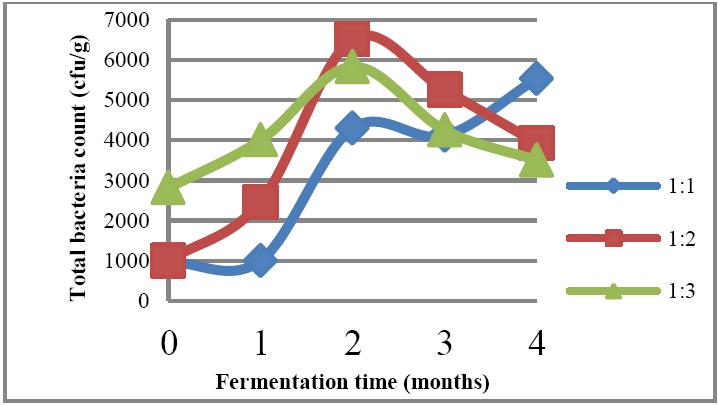 Total soluble protein increased as fermentation was progressed (Figure 4). This phenomenon was found in fish sauce production because of degradation of fish muscle by autolysis and bacteria [15].