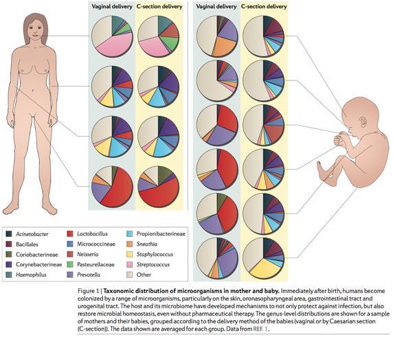 Birth (mode of delivery) Aagaard K, et al. The placenta harbors a unique microbiome. Sci Transl Med 2014; 6: 237ra65. Funkhouser LJ, et al.