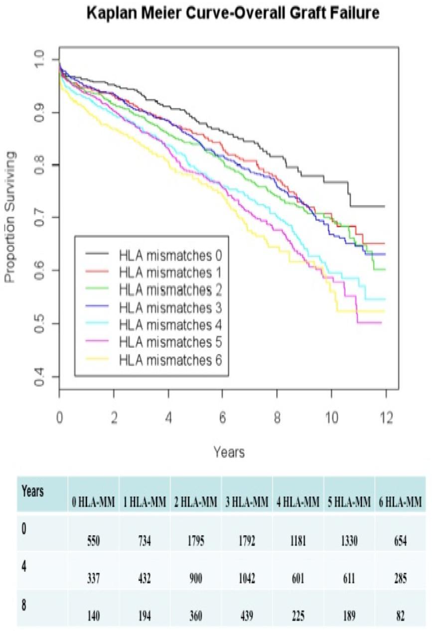 The Evolution of HLA-Matching in Kidney Transplantation http://dx.doi.org/10.