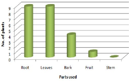 Maximum plant species used were from the families Apocyanaceae and Verbenaceae. Number of plants used from each family is shown in Figure 5.