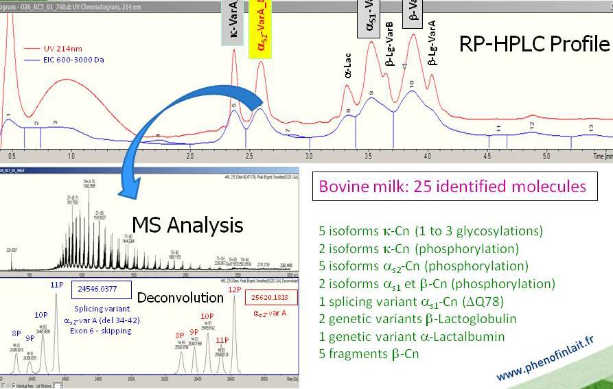 Main protein milk composition: analysis tools «Reference» method (Miranda et Martin, Inra-GABI): LC-MS: liquid chromatography coupled with mass spectrometry Spectrum from 75 cow milk samples (UE INRA