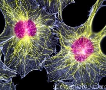 Microtubules hollow filaments of