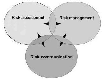 Risk Communication in the Risk Analysis Process Risk assessment is the process that is used to quantitatively or qualitatively estimate and characterize risk.