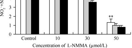 INDUCTION OF APOPTOSIS BY L-NMMA, via FKHRLI/ROCK PATHWAY 287 wild-type FKHRL1-HA vector and mutant FKHRL1-HA T-32 with green fluorescent protein was cotransfected with the pcdna3 vector, using the