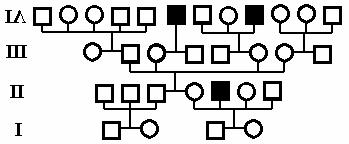 6. [6 ] In the pedigree below: Within each generation, the people are numbered from left to right. So for instance, the last symbol on line III would be referred to as person III-8. A.