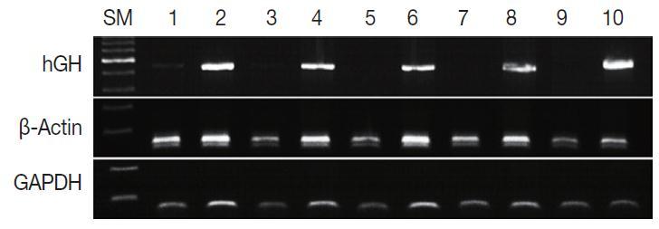 Effects of fixation and storage on nucleic acid preservation [1] DNA PCR results according to the duration of formalin fixation due to DNA