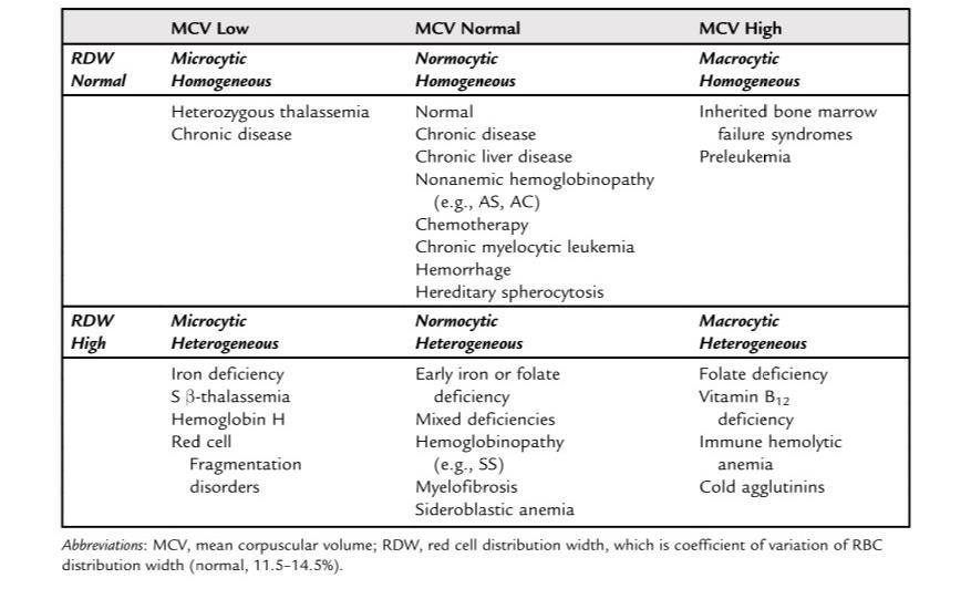 Approach from MCV & RDW Lanzkowsky Manual