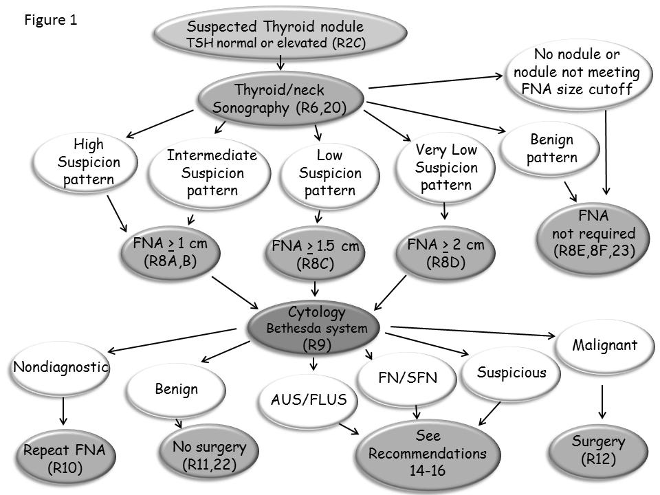 ATA Guidelines, Thyroid 2015