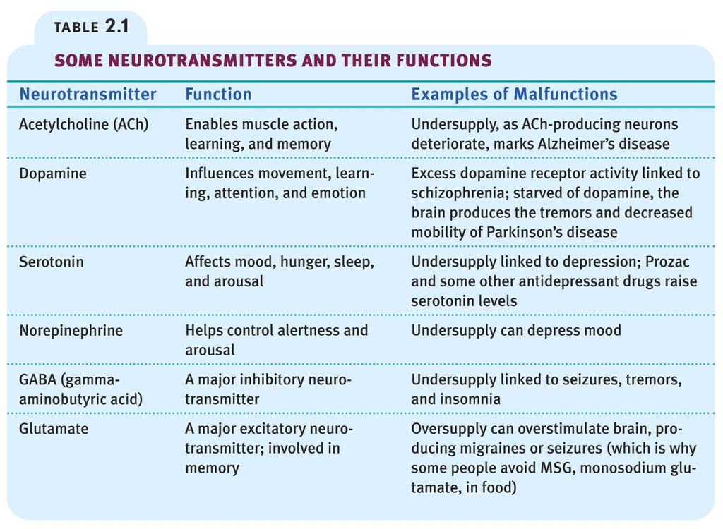 Examples of Neurotransmitters Neurotransmitters are produced