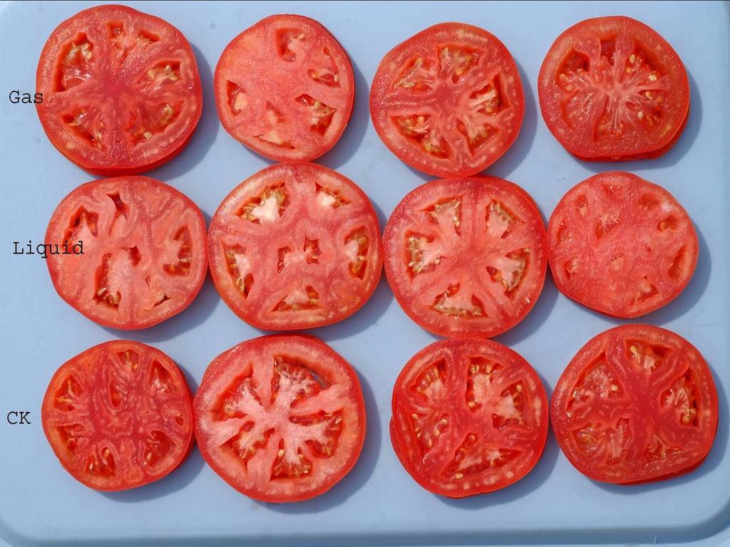 Sliced Tomatoes Stored for 14