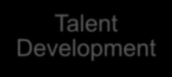 10. Talent Selection System