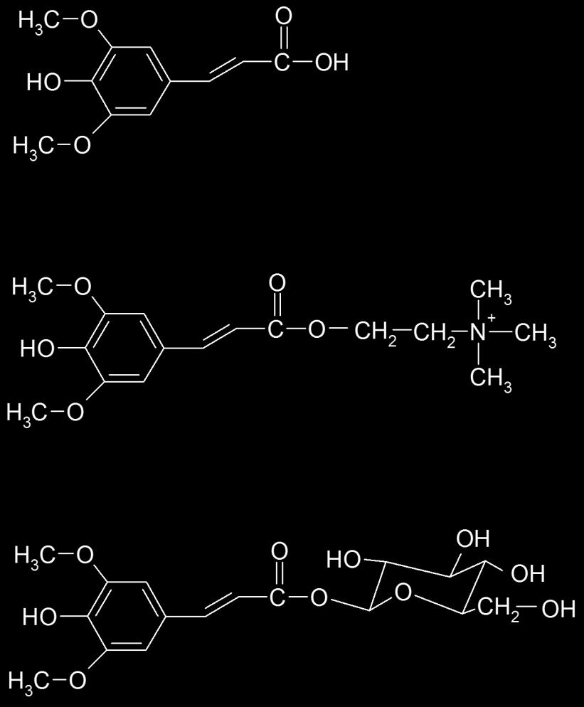 Sinapic acid Sinapine