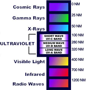 Components of Radiation from the