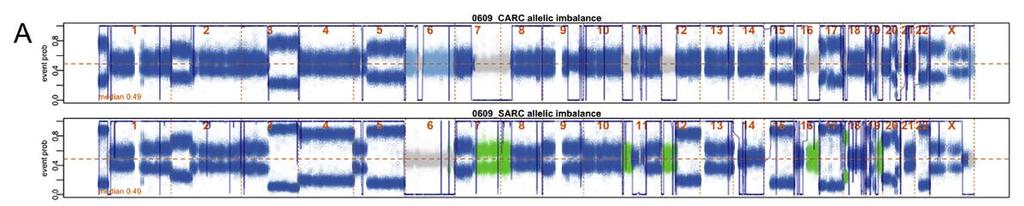 Results (Somatic Chromosomal Alterations) Example: Participant 0609 Identification of UCS somatic chromosomal alterations