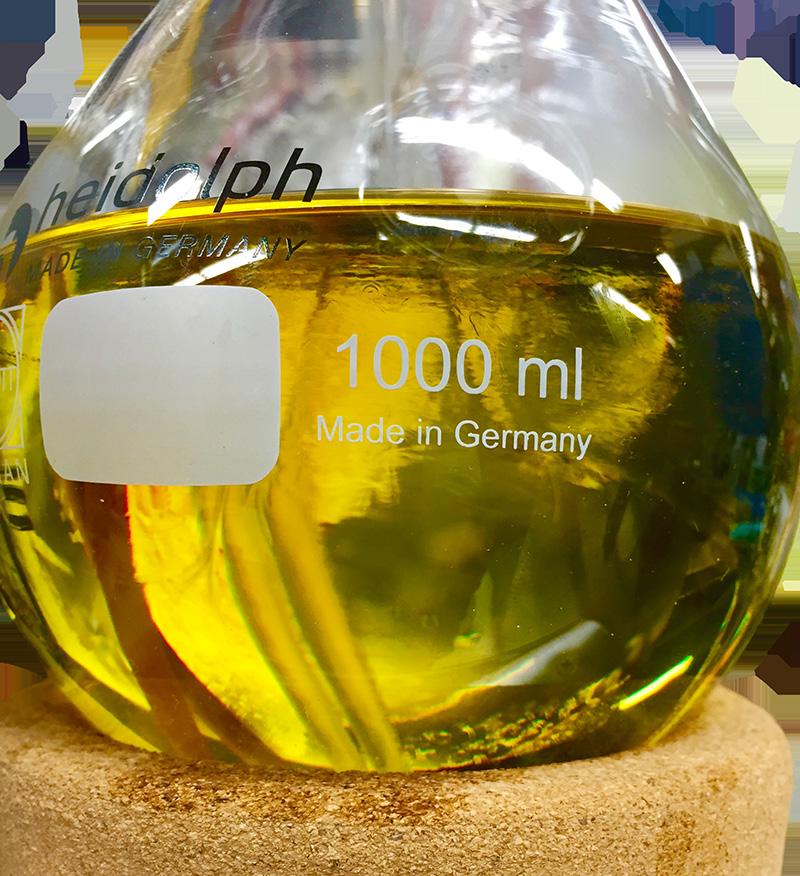 DISTILLATES - The final processing step in refinement of extracted oils can be provided in the form of a distillate fraction in which the cannabinoids are isolated into separate fractions from the