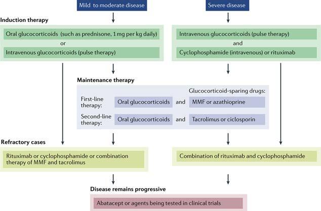 Approach to treating myositis-associated