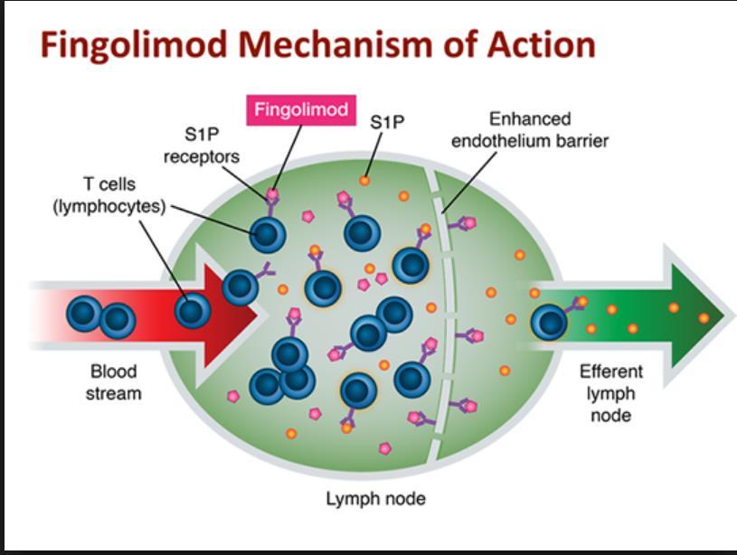 Finoglimod (Gilenya ) Mechanism of action: retains lymphocytes in the lymph nodes, thereby preventing those cells from crossing the blood-brain barrier into the central nervous system (CNS) and