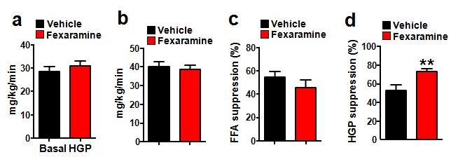 Fex improves glucose homeostasis Clamp study: heavier mice for