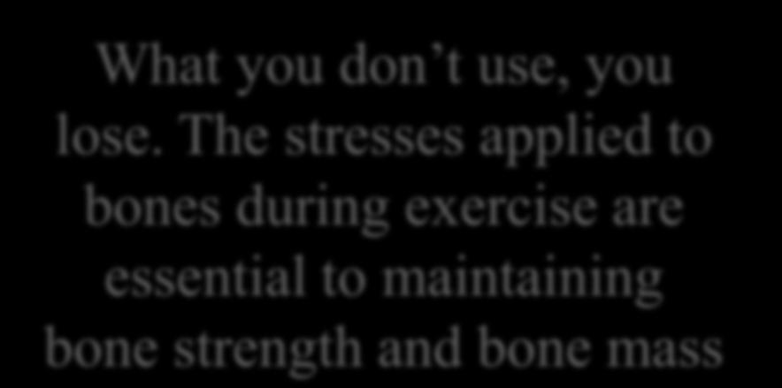during exercise are essential to