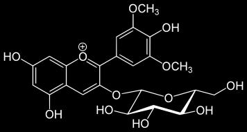 Peonidin-3-O-glucoside (5.95%) 5. Petunidin-3-O-glucoside (15.64%) 1.