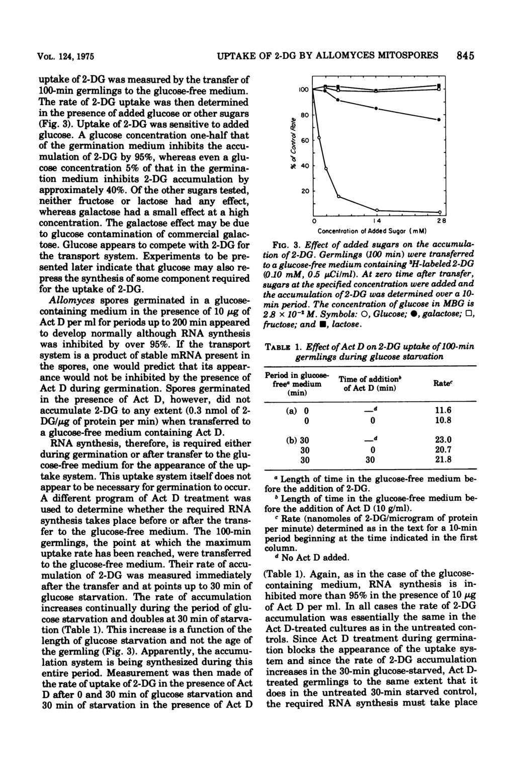 VOL. 124, 1975 UPTAKE OF 2-DG BY ALLOMYCES MITOSPORES 845 uptake of 2-DG was measured by the transfer of 100-min germlings to the glucose-free medium.