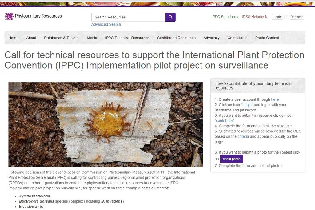 Implementation programme: pilot on surveillance Aggregate and share resources on