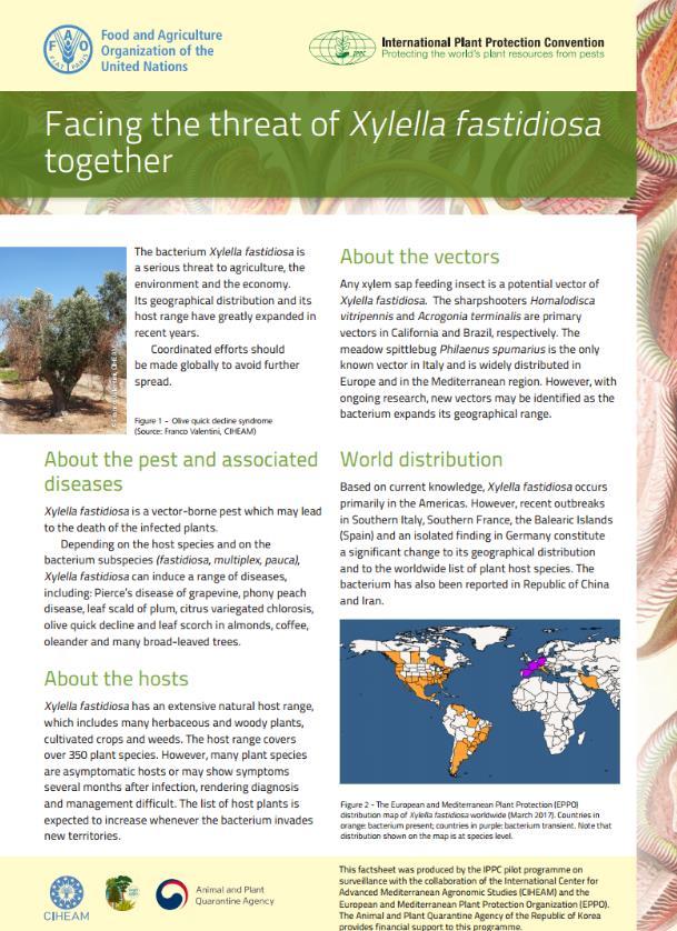Advances on the 3 example pests: Xylella fastidiosa A factsheet was produced and distributed during CPM-12 with the collaboration of the CIHEAM and the European and Mediterranean Plant Protection