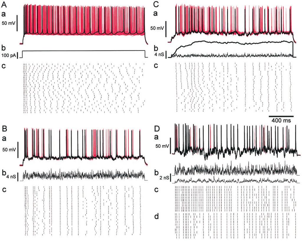 6184 J. Neurosci., August 15, 2000, 20(16):6181 6192 Harsch and Robinson Spiking Variability and NMDA Receptor Conductance Figure 3. Responses of cortical neurons to conductance inputs.