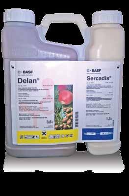 12 Delan : The Sercadis tank mix partner For the protection of fruit against a wide range of pests and diseases during the growing season, you have to make many decisions in a complex environment.