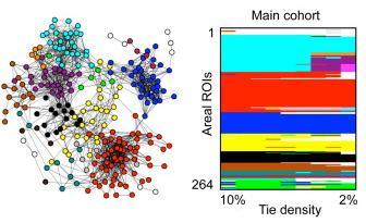 Functional Network Organization of the Human Brain Graph
