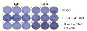 PLA-specific IgE:IgG4 antibody ratios inflammatory Ab