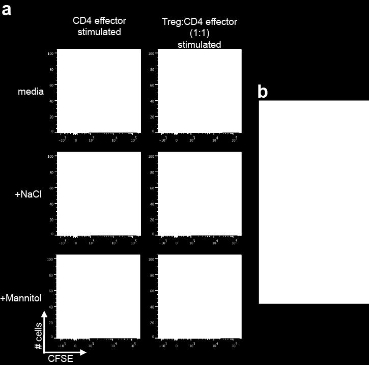 Supplementary Figure 5: CD4 + naïve effector T cells (CD4 effector) were labeled with CFSE, stimulated with α-cd2/cd3/cd28 coated beads (at 2 beads/cell) and cultured alone or cocultured with CD4 +