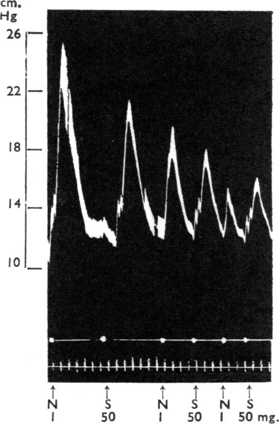 ACTIONS OF SUCCINYLCHOLINE 269 Hg 26- Hg _ fa} (bb 221 '4-18I 14! N9 5 N S NS 50 50 50 mg. FIG. 8.-Dog, pentobarbitone anaesthesia. Blood pressure record. Nicotine sulphate (N) 1 mg.