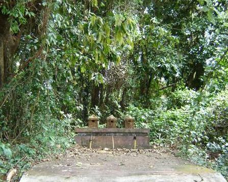 herbs; medicinal plants, monkeys, squirrel and mynah are seen in the region.