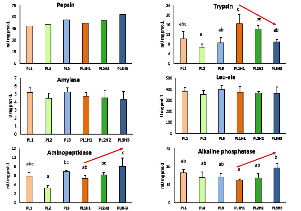 Levels of phospholipids and influence of supplemented HUFAs: Enzymatic activity - Increased PL and n-3 LC-PUFA enhanced the activities of the brush border membrane